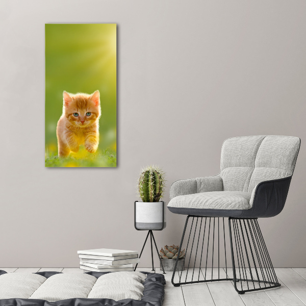 Canvas wall art Red Cat