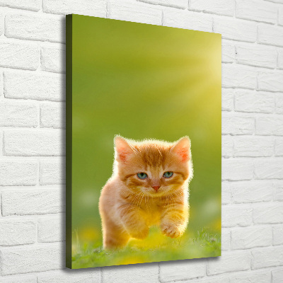 Canvas wall art Red Cat