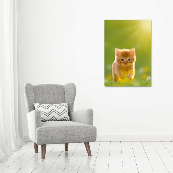 Canvas wall art Red Cat