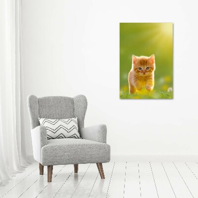 Canvas wall art Red Cat