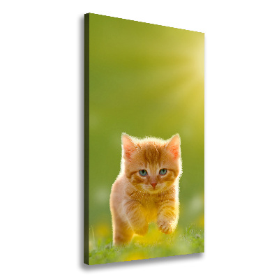 Canvas wall art Red Cat