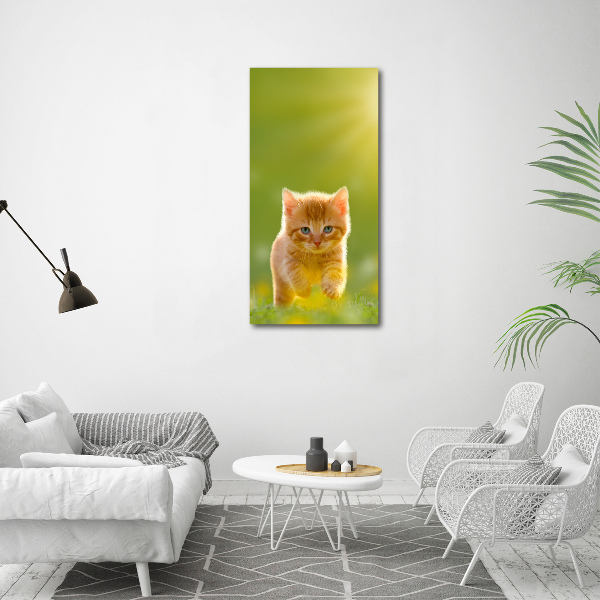 Canvas wall art Red Cat