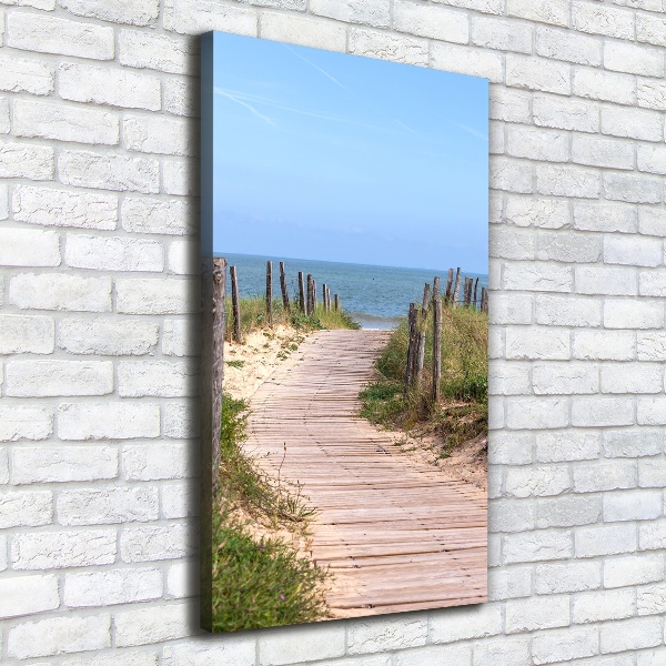 Canvas wall art Path to the beach