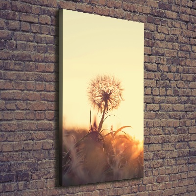 Large canvas wall art Dandelion