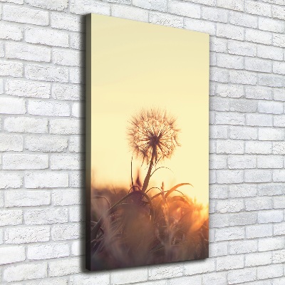 Large canvas wall art Dandelion