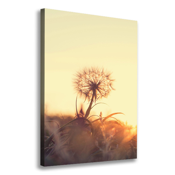 Large canvas wall art Dandelion