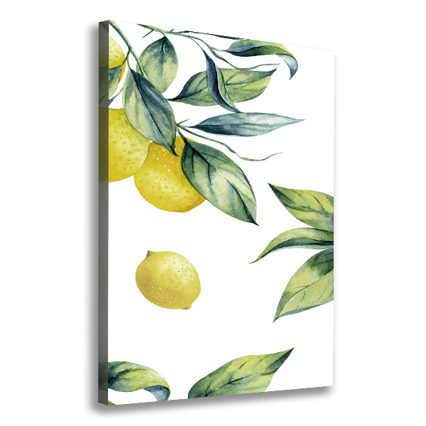 Picture canvas print Lemons