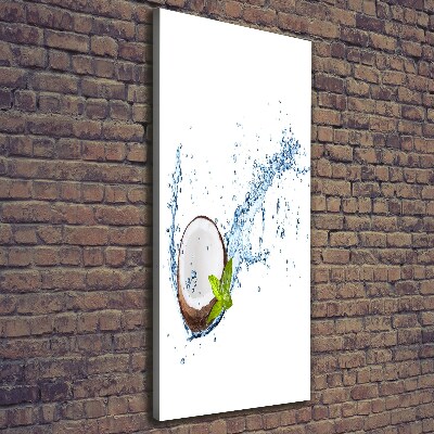 Large canvas wall art Coconut