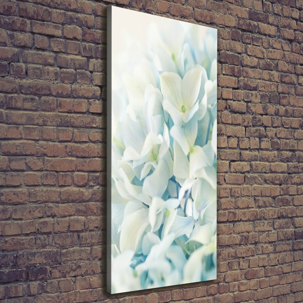 Canvas wall art Hydrangea flower