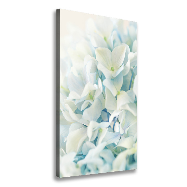 Canvas wall art Hydrangea flower