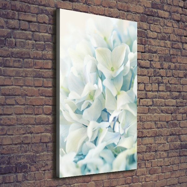 Canvas wall art Hydrangea flower