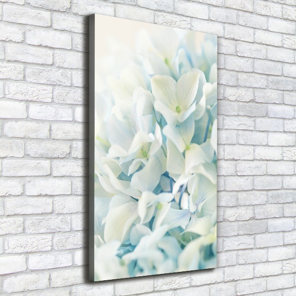 Canvas wall art Hydrangea flower