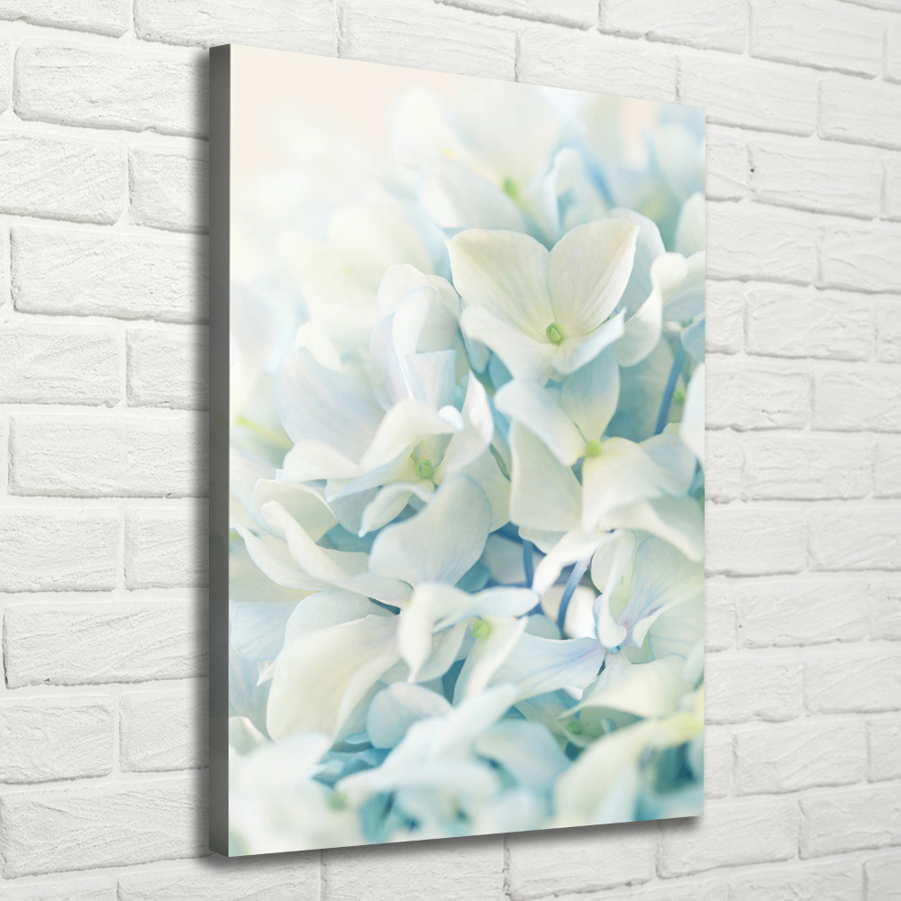 Canvas wall art Hydrangea flower