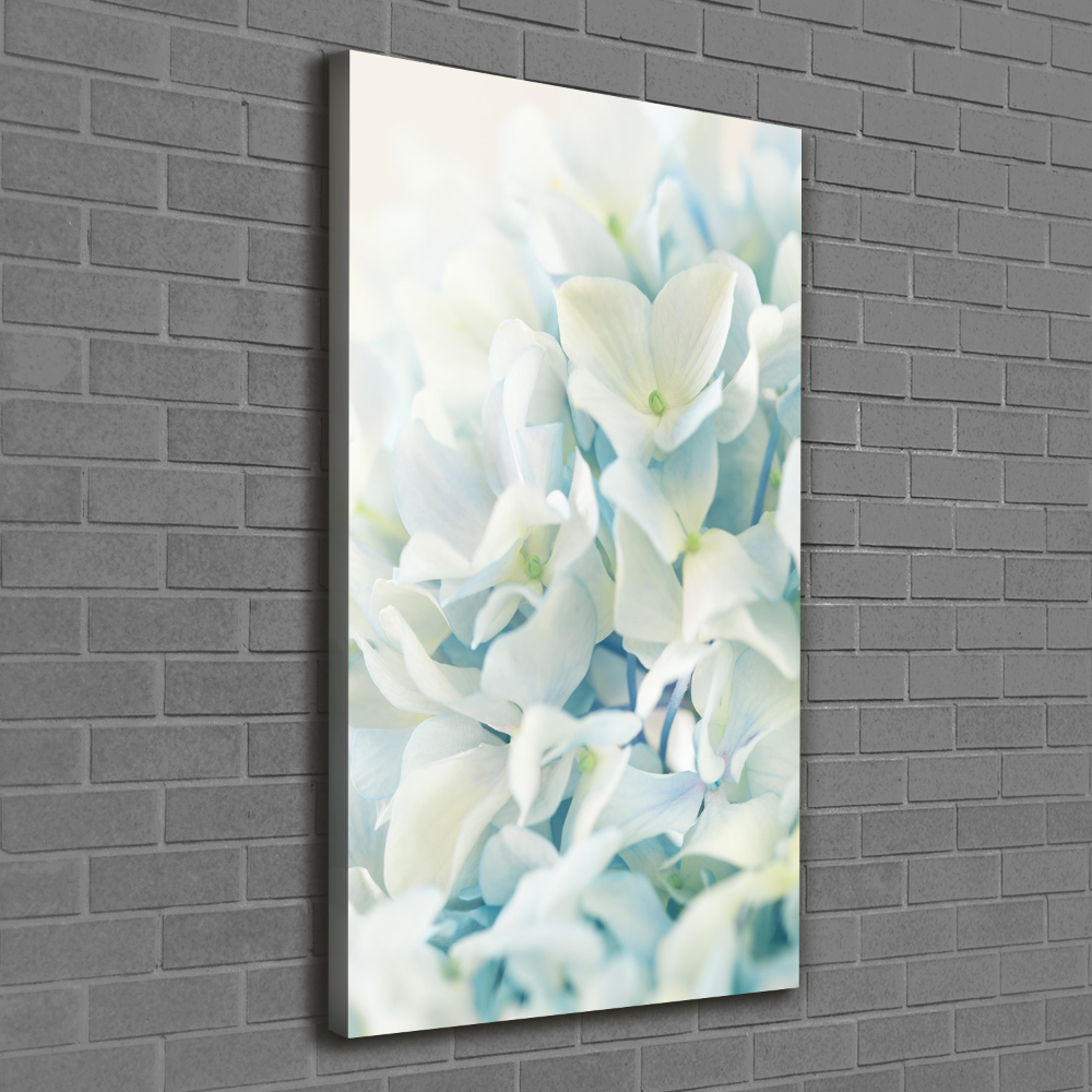 Canvas wall art Hydrangea flower