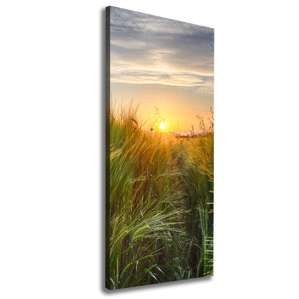 Canvas wall art Wheat field