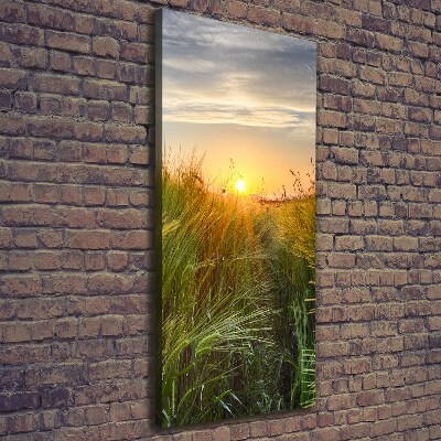 Canvas wall art Wheat field