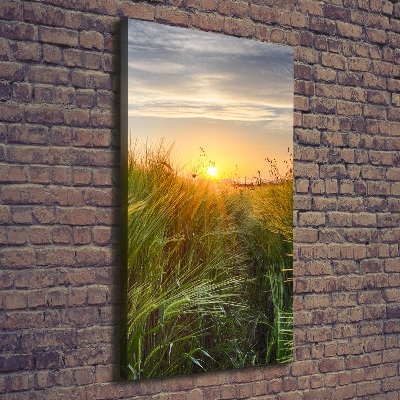 Canvas wall art Wheat field