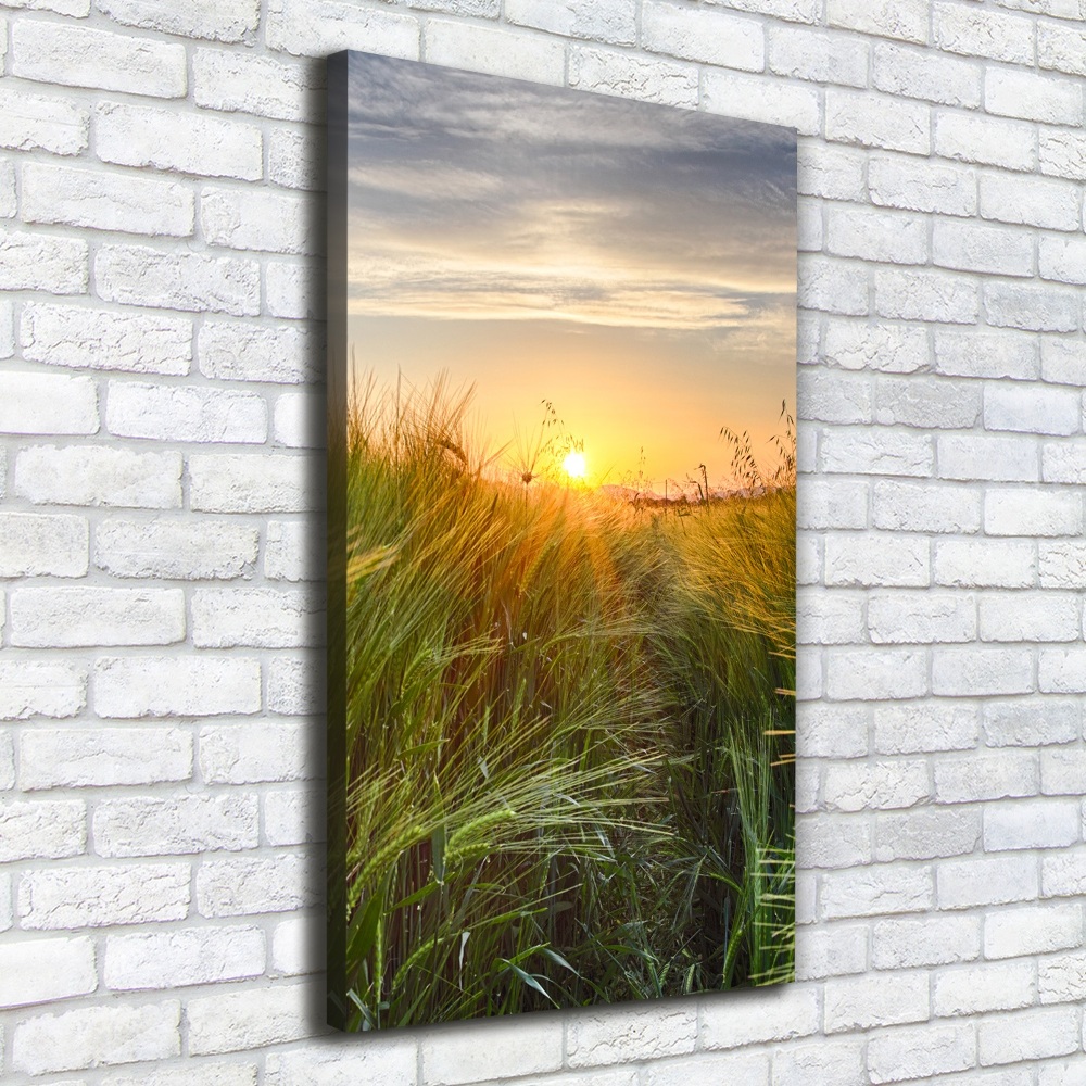 Canvas wall art Wheat field