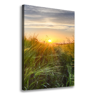 Canvas wall art Wheat field