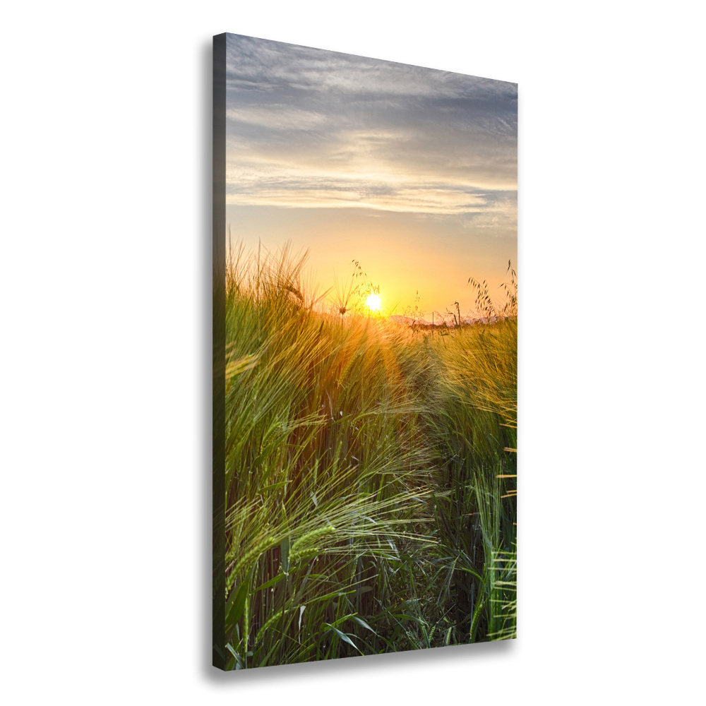 Canvas wall art Wheat field