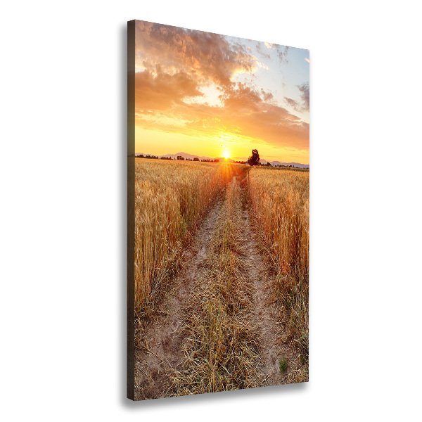 Canvas wall art Wheat field