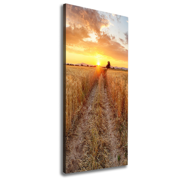 Canvas wall art Wheat field