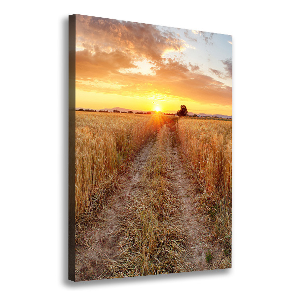 Canvas wall art Wheat field