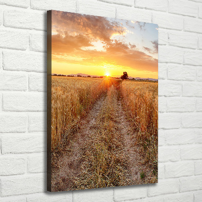 Canvas wall art Wheat field