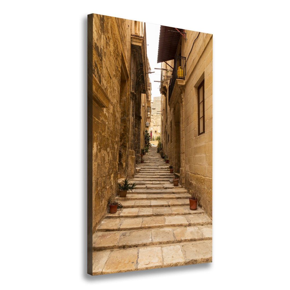 Wall art canvas Streets in Malta