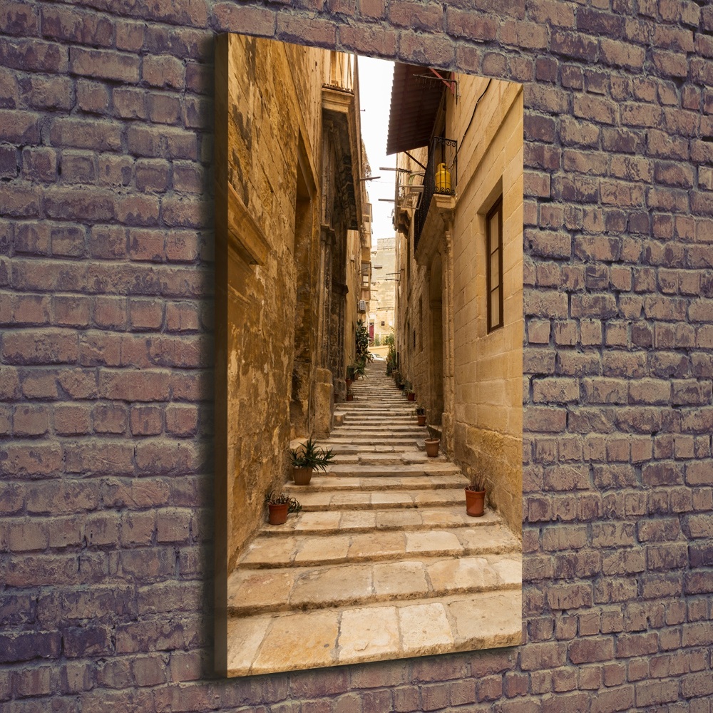 Wall art canvas Streets in Malta