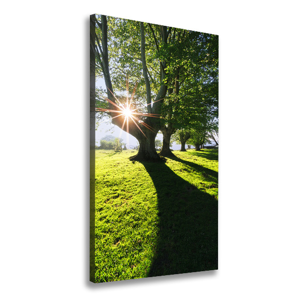 Canvas wall art Park