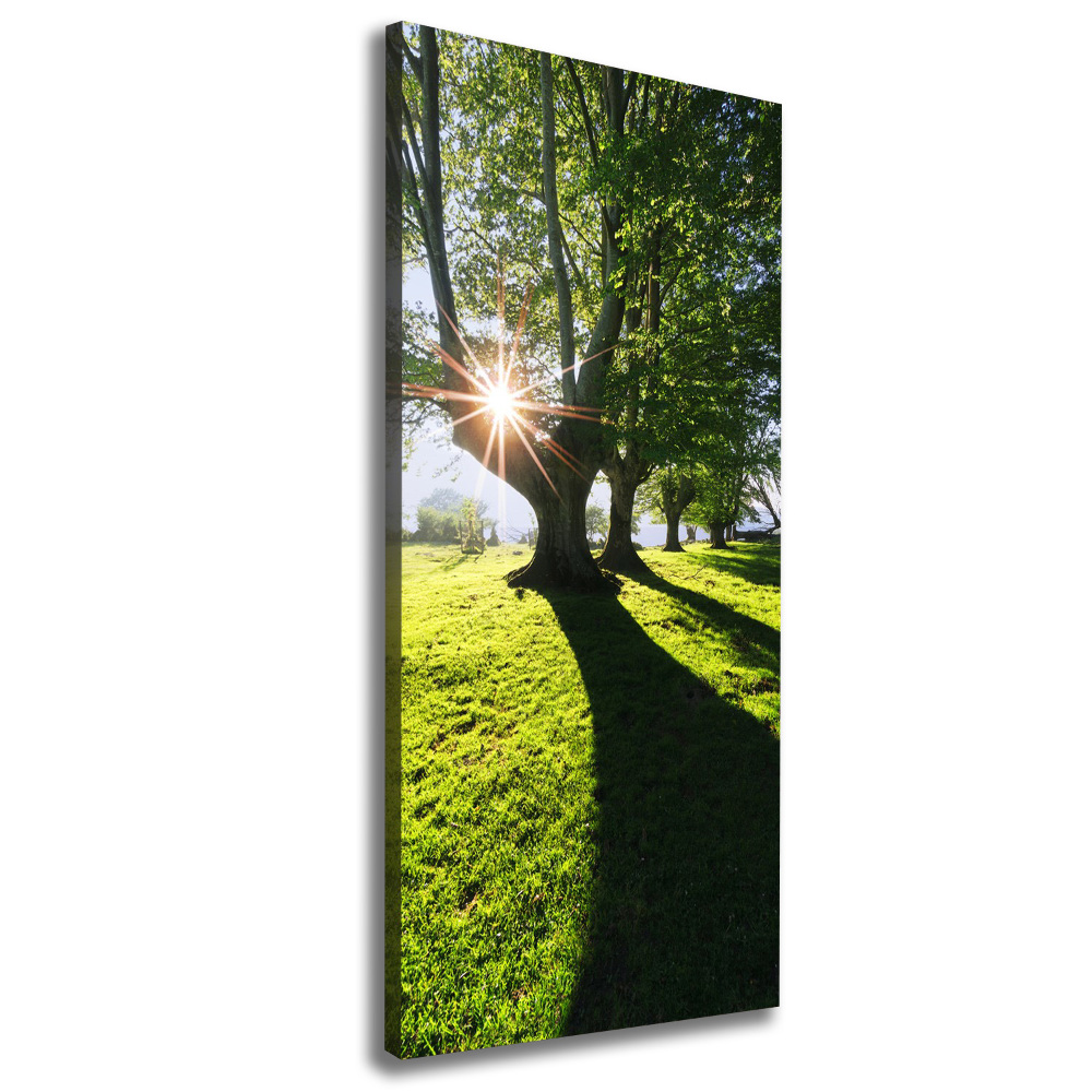 Canvas wall art Park