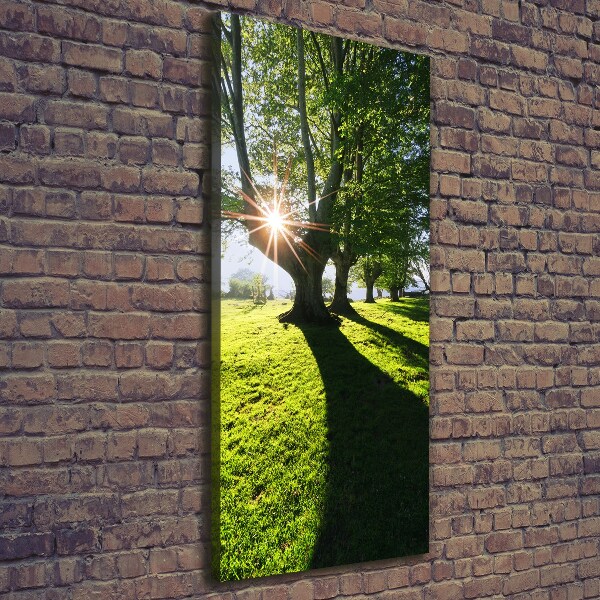 Canvas wall art Park