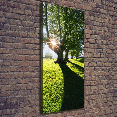 Canvas wall art Park