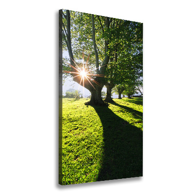 Canvas wall art Park