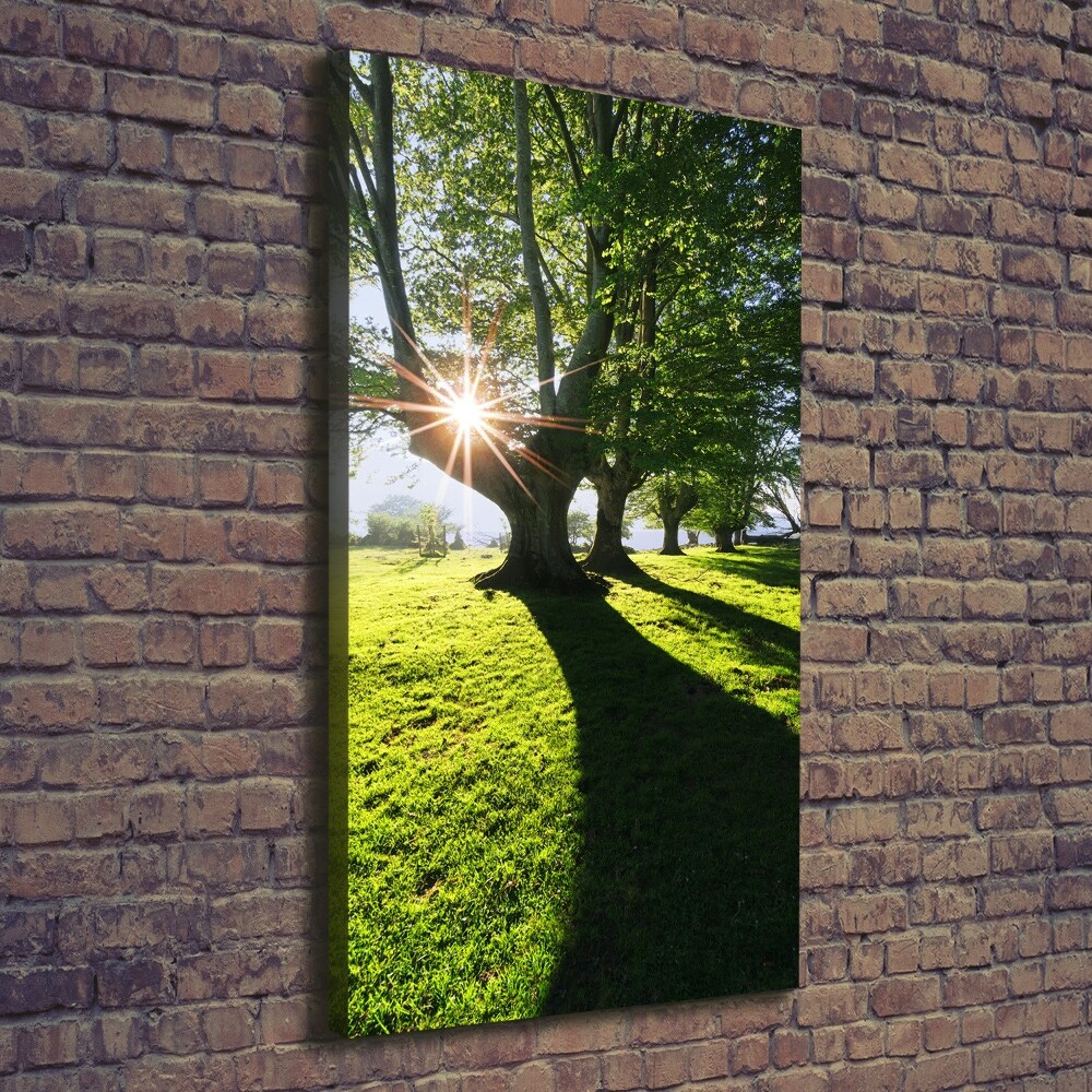 Canvas wall art Park