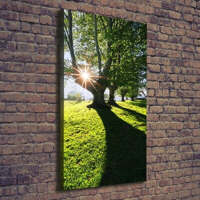 Canvas wall art Park