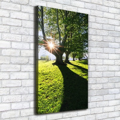 Canvas wall art Park