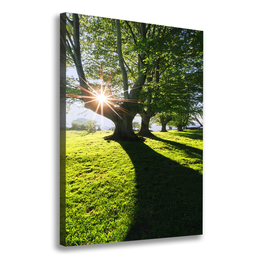 Canvas wall art Park