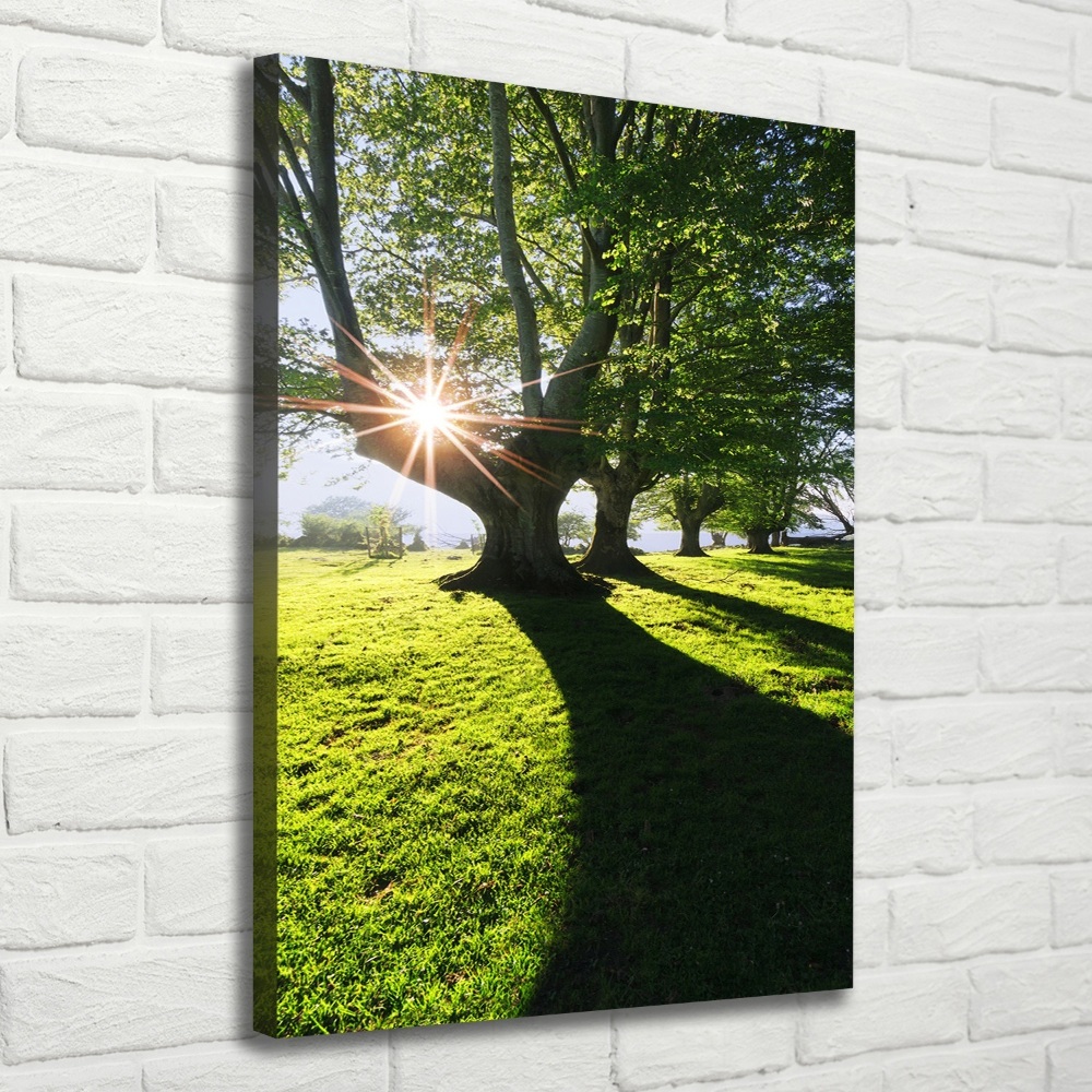 Canvas wall art Park