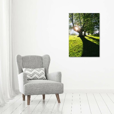 Canvas wall art Park