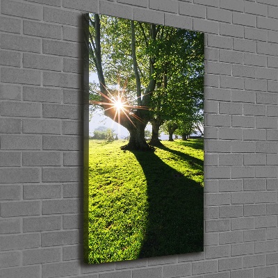 Canvas wall art Park