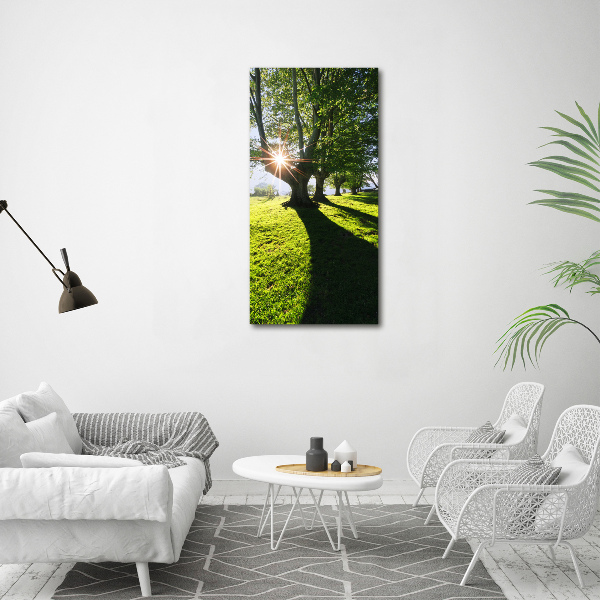 Canvas wall art Park