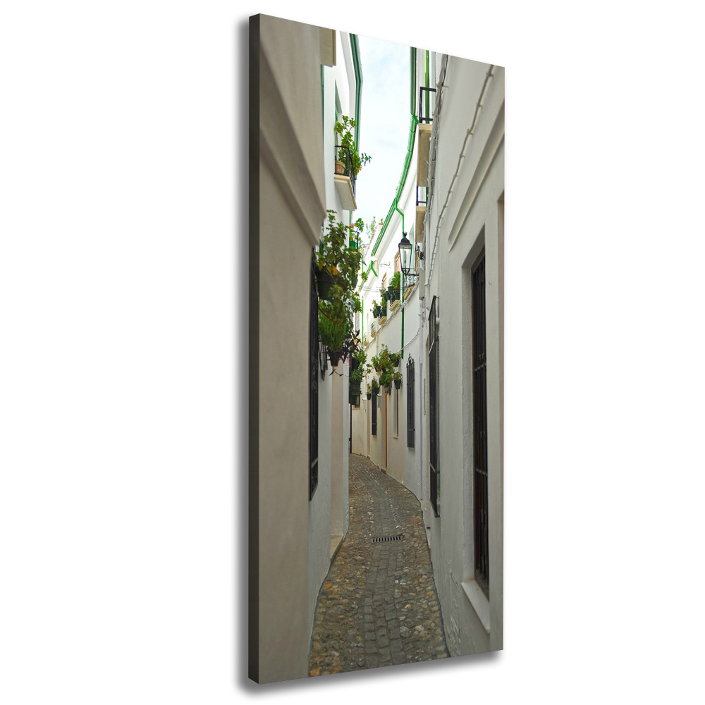 Wall art canvas Andalusia streets