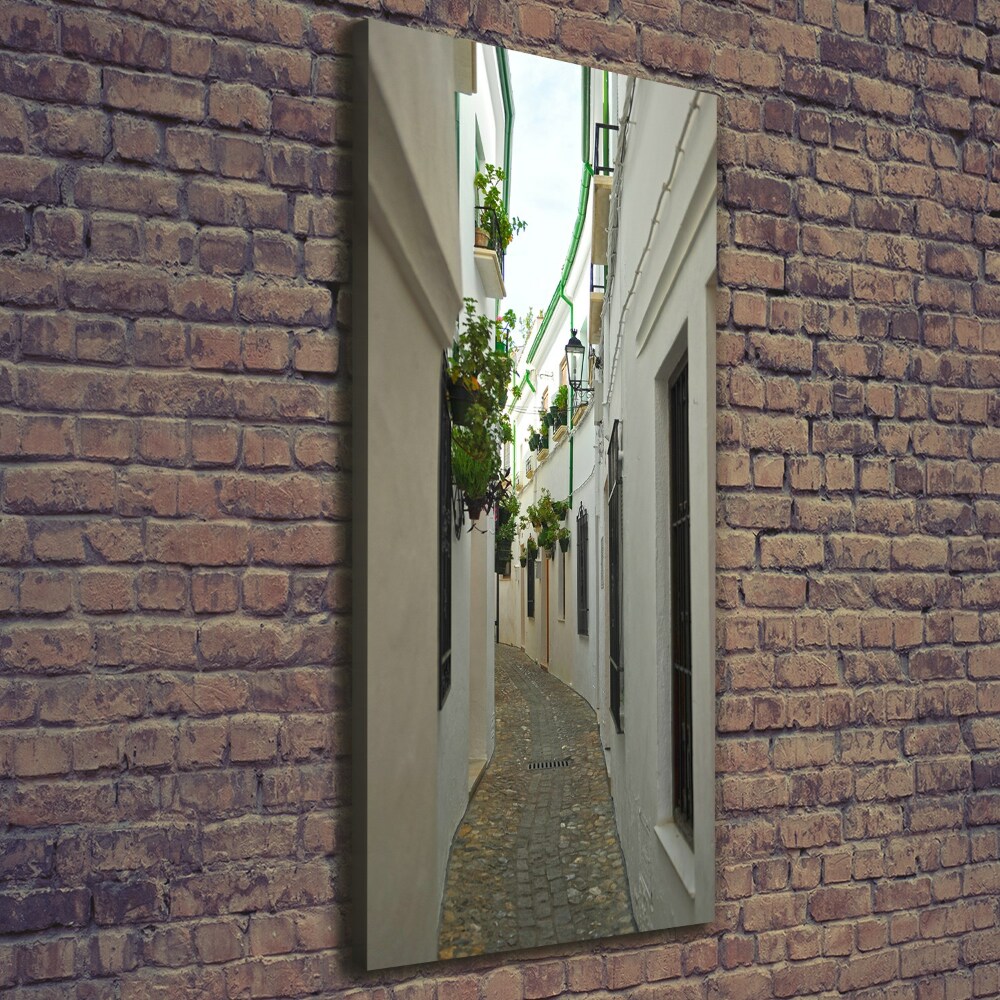 Wall art canvas Andalusia streets