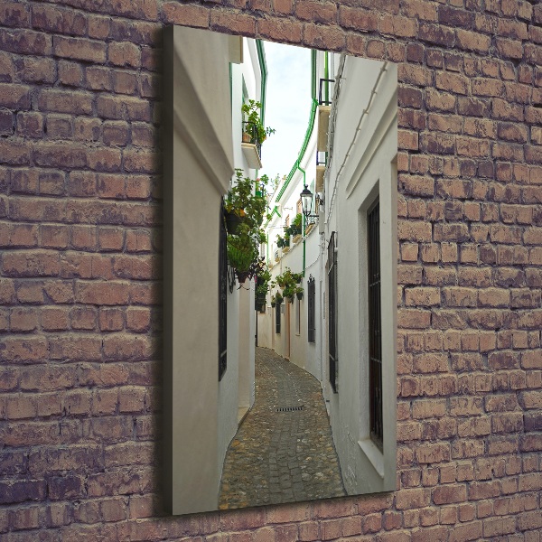 Wall art canvas Andalusia streets