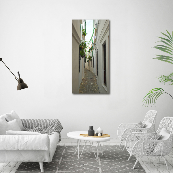 Wall art canvas Andalusia streets