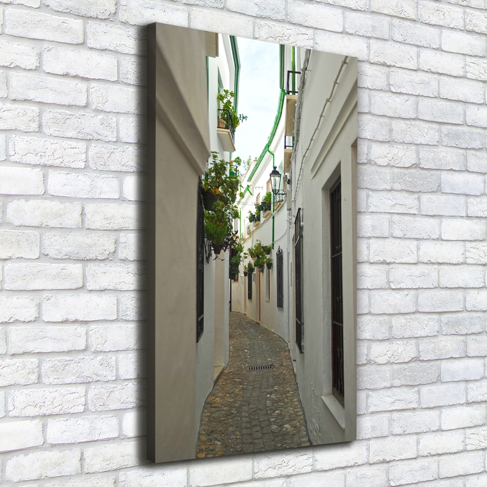 Wall art canvas Andalusia streets