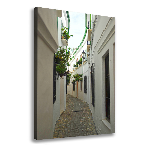 Wall art canvas Andalusia streets