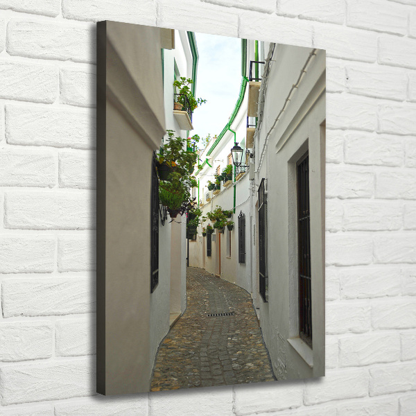 Wall art canvas Andalusia streets